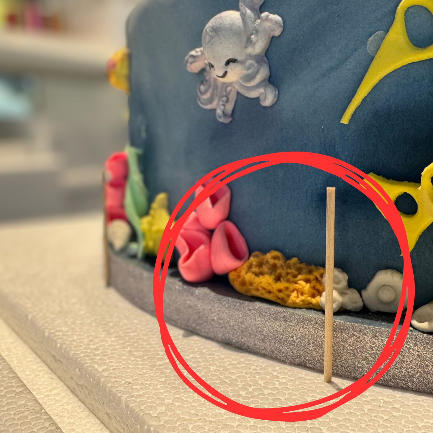 Tortenbox mit gesicherter Torte gegen Verrutschen
